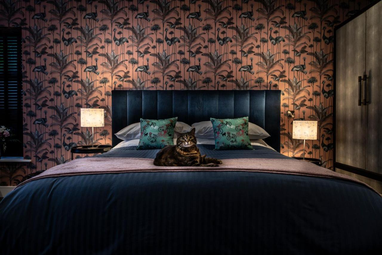 Broomhill Art Hotel Barnstaple Esterno foto