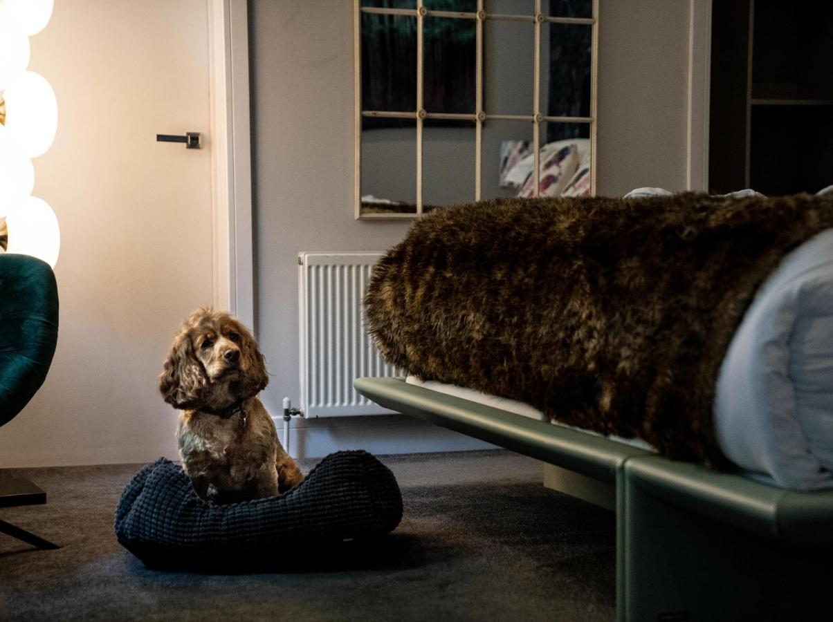 Broomhill Art Hotel Barnstaple Esterno foto